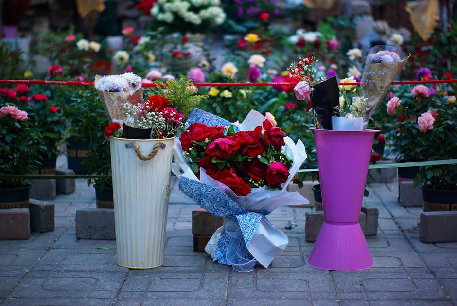 A floral display featuring a bouquet of red roses wrapped in white and blue paper, placed on a paved surface in front of a row of potted pink and white roses in a garden. To the left, a tall cylindric