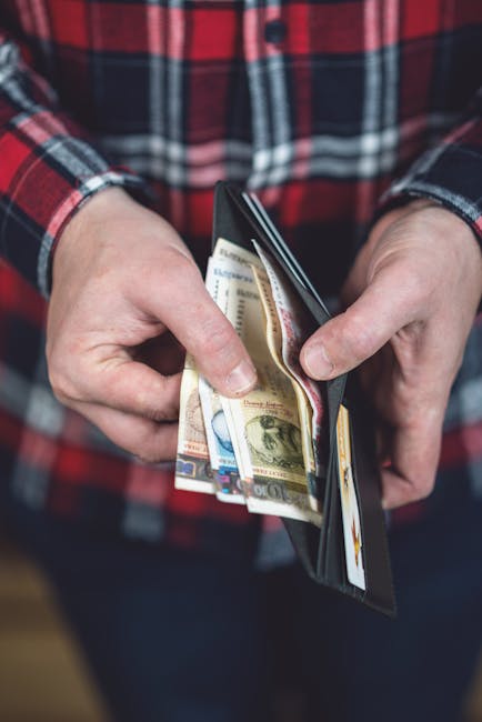 The image shows a person wearing a red and black plaid shirt holding an open black wallet with several banknotes inside, including US dollars and euros. The wallet is held with both hands, and the ind